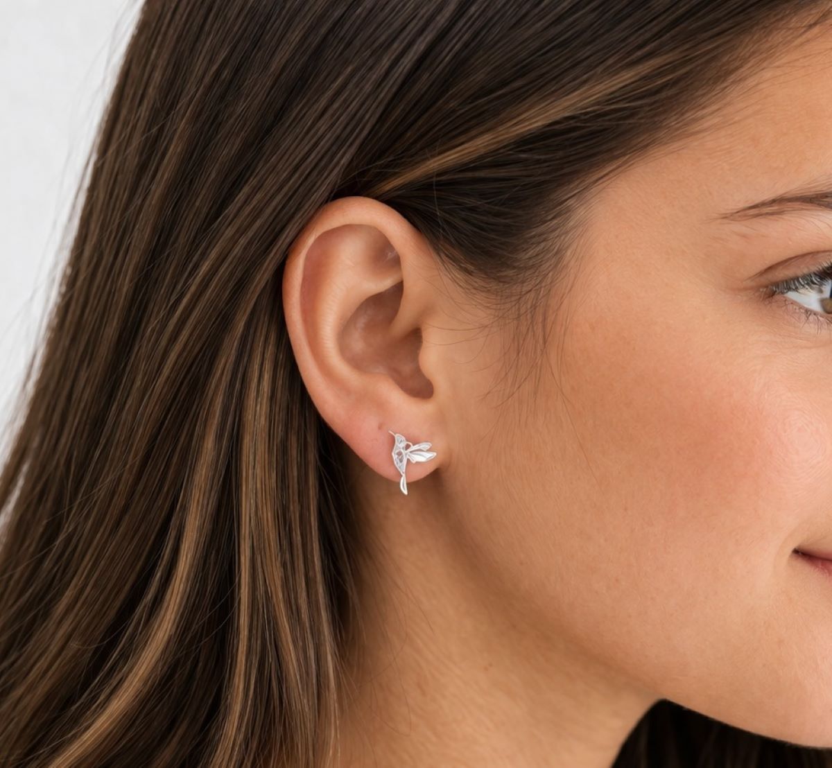 Aretes Colibrí Brillos - Plata