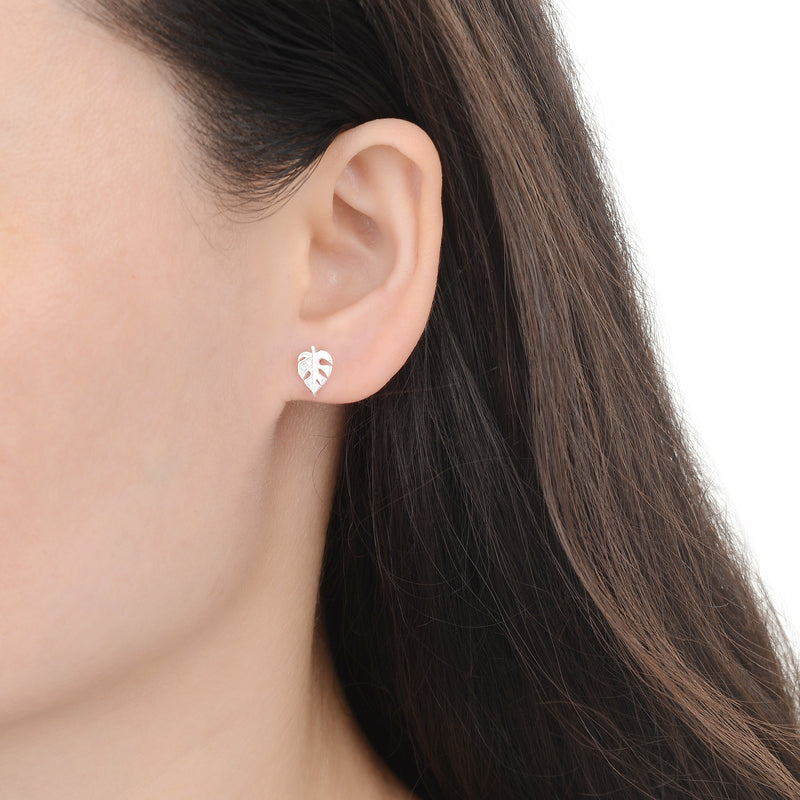 Aretes Hoja Brillos - Plata